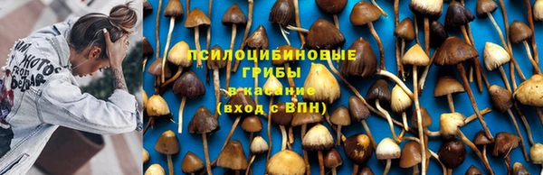 дмт Ступино