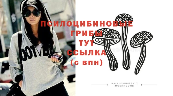 МДПВ Алексеевка