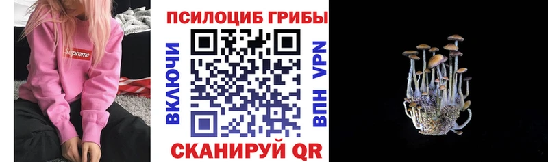 мега рабочий сайт  Белый  Псилоцибиновые грибы Psilocybe 